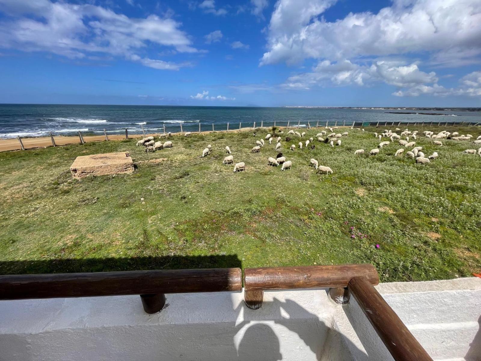 Casa Al Mare Con Splendida Vista Sul Mare Petrosino Exterior foto